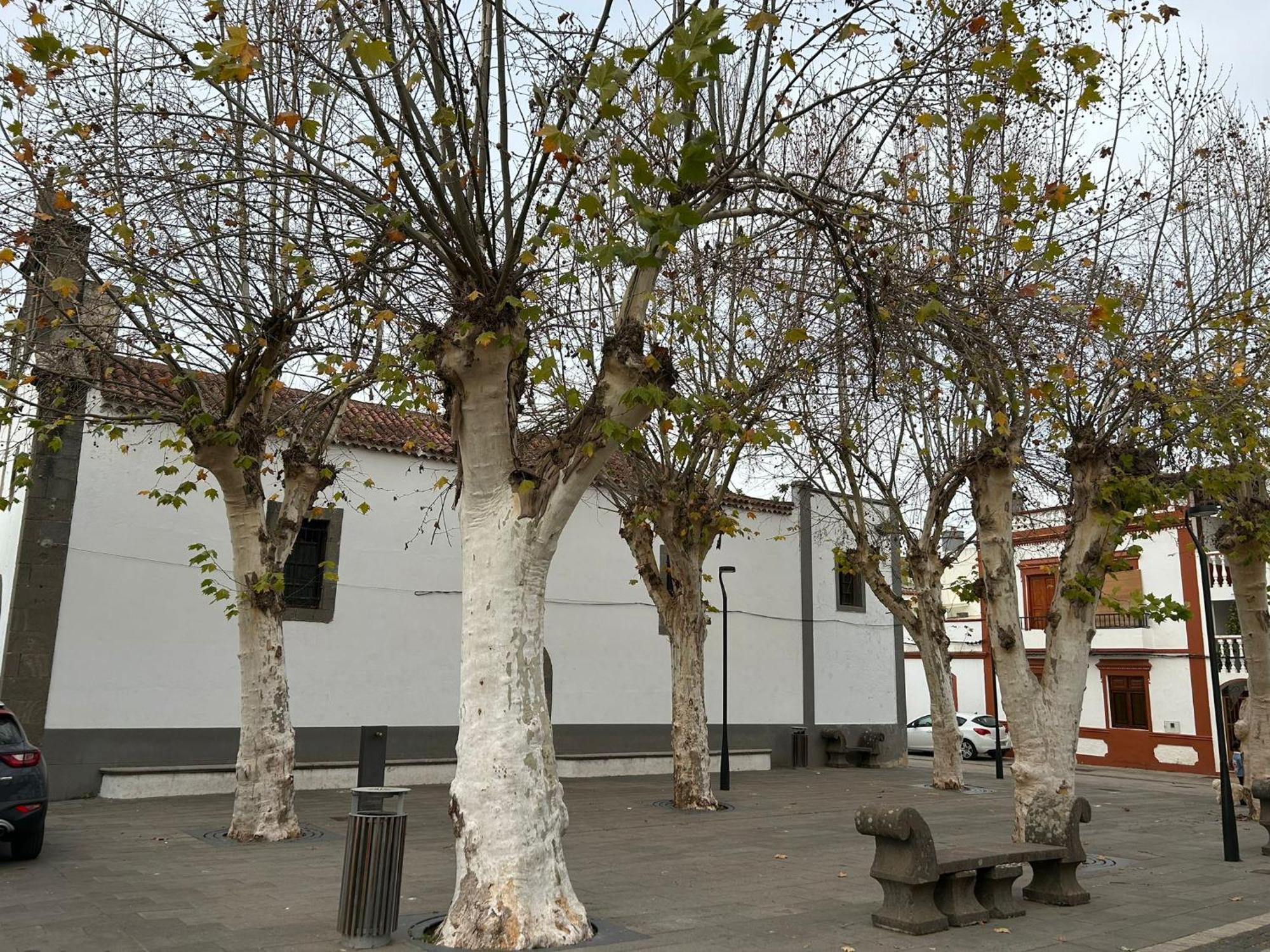 Apartmán Vivienda Alpa Fontanales Agua de Fontanales Exteriér fotografie